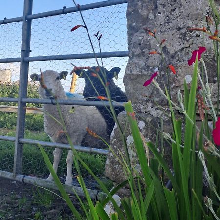 Red Gate Cottage Buncrana Εξωτερικό φωτογραφία