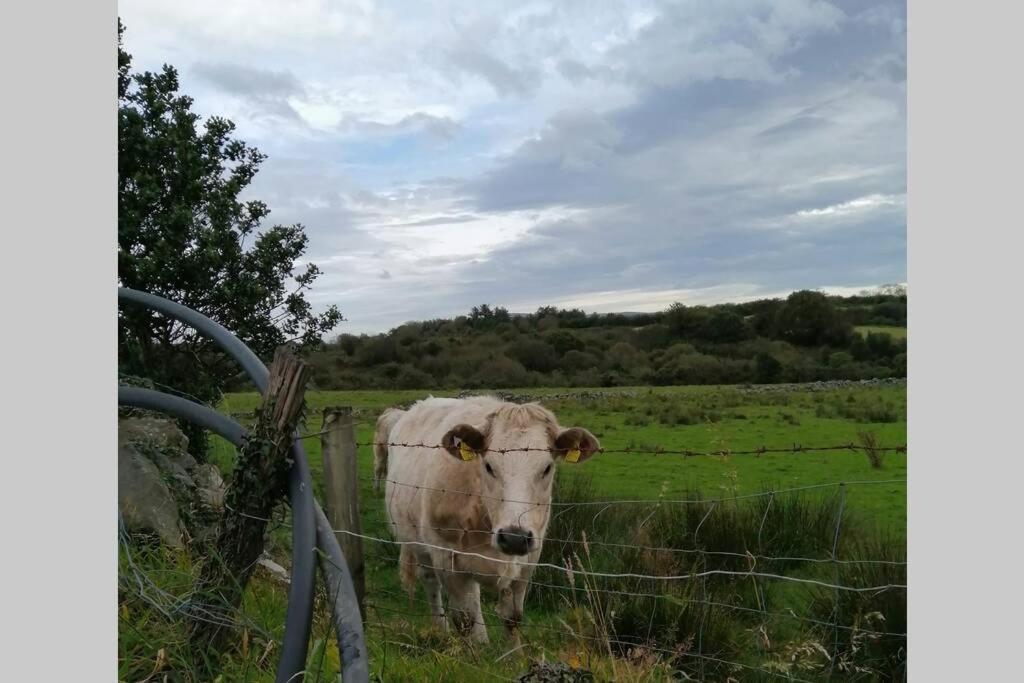 Red Gate Cottage Buncrana Εξωτερικό φωτογραφία
