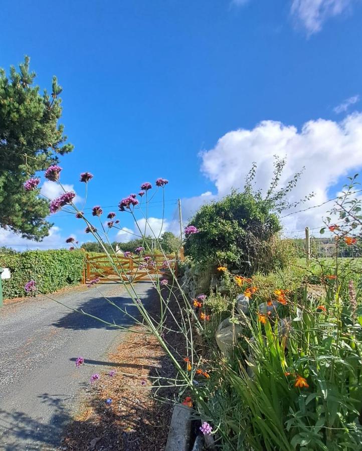 Red Gate Cottage Buncrana Εξωτερικό φωτογραφία