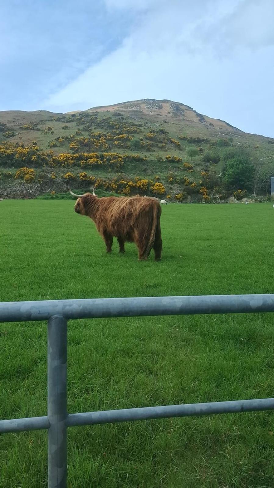 Red Gate Cottage Buncrana Εξωτερικό φωτογραφία